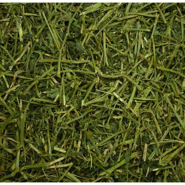 Friendly Alfalfa ReadiGrass 1kg 2 Friendly Alfalfa ReadiGrass 1kg - Image 2