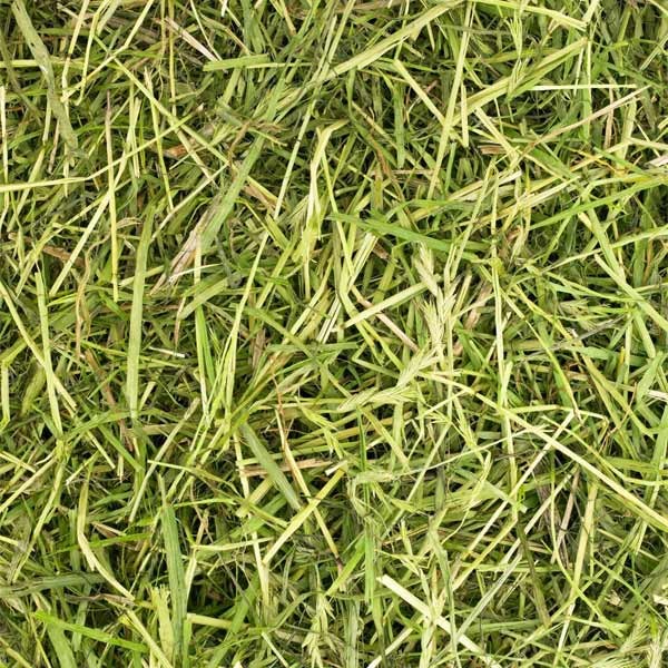 Friendly ReadiGrass 1kg 2 Friendly ReadiGrass 1kg - Image 2
