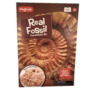 Magnoidz Fossil Dig Kit