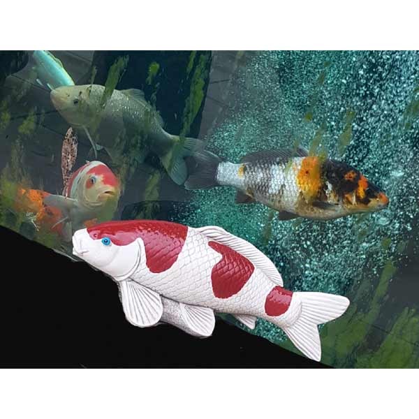Koi Fish Stone Garden Ornament 31cm 2 Koi Fish Stone Garden Ornament 31cm - Image 2