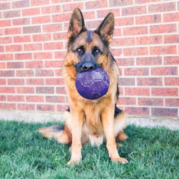 KONG Flex Ball Medium/Large Dog Toy 2 KONG Flex Ball Medium/Large Dog Toy - Image 2