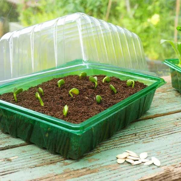 Gro-Sure Visiroot Half Seed Trays 8 Pack 2 Gro-Sure Visiroot Half Seed Trays 8 Pack - Image 2