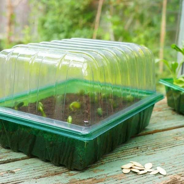 Gro-Sure Visiroot Half Seed Trays 8 Pack 4 Gro-Sure Visiroot Half Seed Trays 8 Pack - Image 4