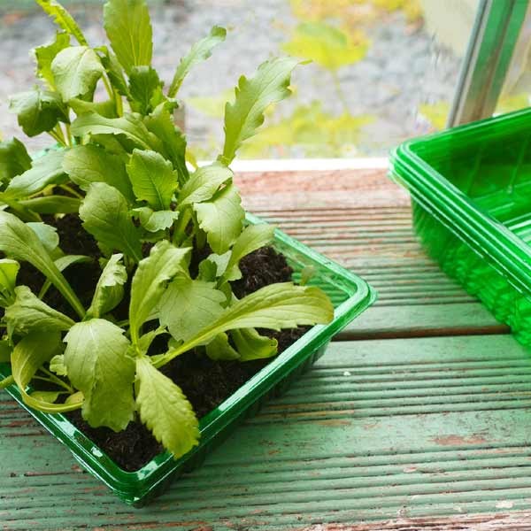 Gro-Sure Visiroot Seed Tray 4 Pack 2 Gro-Sure Visiroot Seed Tray 4 Pack - Image 2