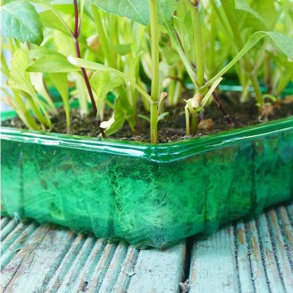 Gro-Sure Visiroot Seed Tray 4 Pack 4 Gro-Sure Visiroot Seed Tray 4 Pack - Image 4