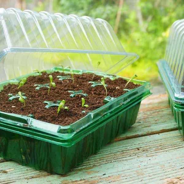 Gro-Sure Visiroot Twin Propagator Set 2 Gro-Sure Visiroot Twin Propagator Set - Image 2