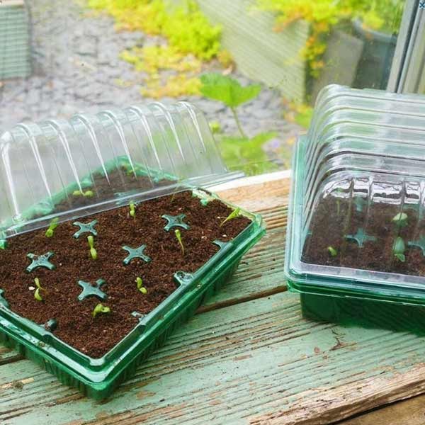 Gro-Sure Visiroot Twin Propagator Set 3 Gro-Sure Visiroot Twin Propagator Set - Image 3