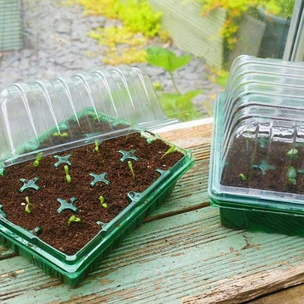 Gro-Sure Visiroot Twin Propagator Set 4 Gro-Sure Visiroot Twin Propagator Set - Image 4