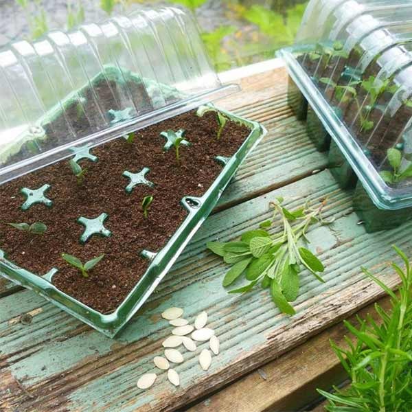 Gro-Sure Visiroot Twin Propagator Set 5 Gro-Sure Visiroot Twin Propagator Set - Image 5