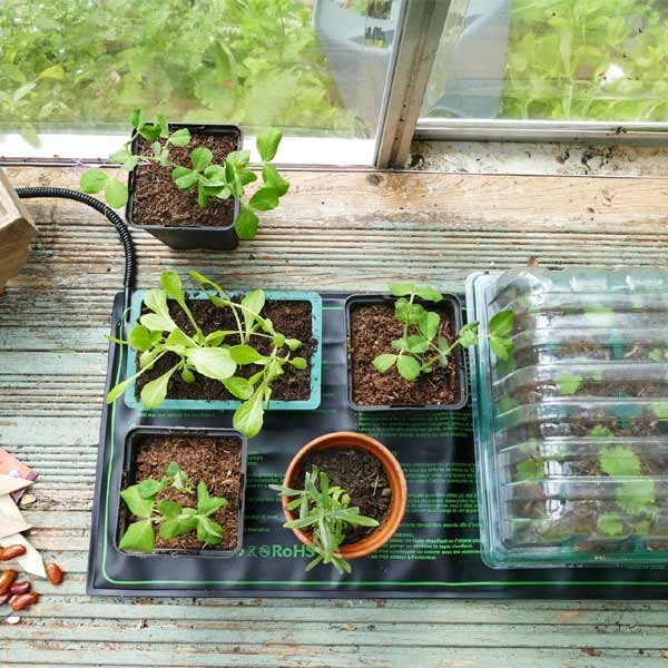 Gro-Sure Electric Heated Propagation Mat 4 Gro-Sure Electric Heated Propagation Mat - Image 4