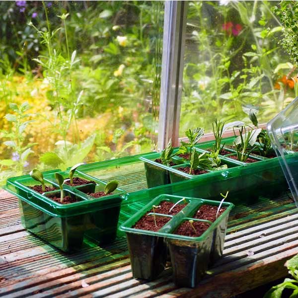 Gro-Sure Visiroot Windowsill Propagator Set 2 Gro-Sure Visiroot Windowsill Propagator Set - Image 2