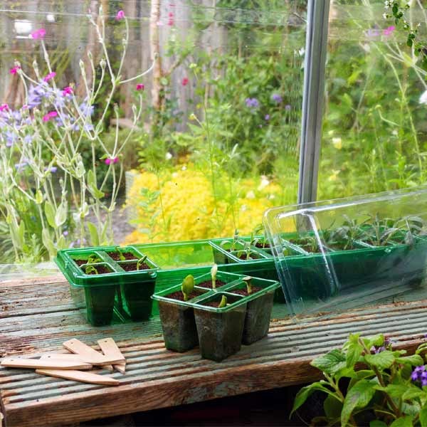 Gro-Sure Visiroot Windowsill Propagator Set 4 Gro-Sure Visiroot Windowsill Propagator Set - Image 4