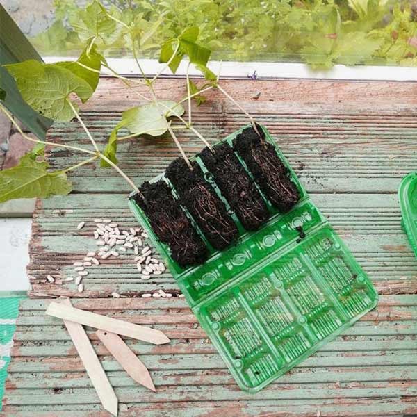 Gro-Sure Visiroot 4 Cell Deep 12 Pack 2 Gro-Sure Visiroot 4 Cell Deep 12 Pack - Image 2
