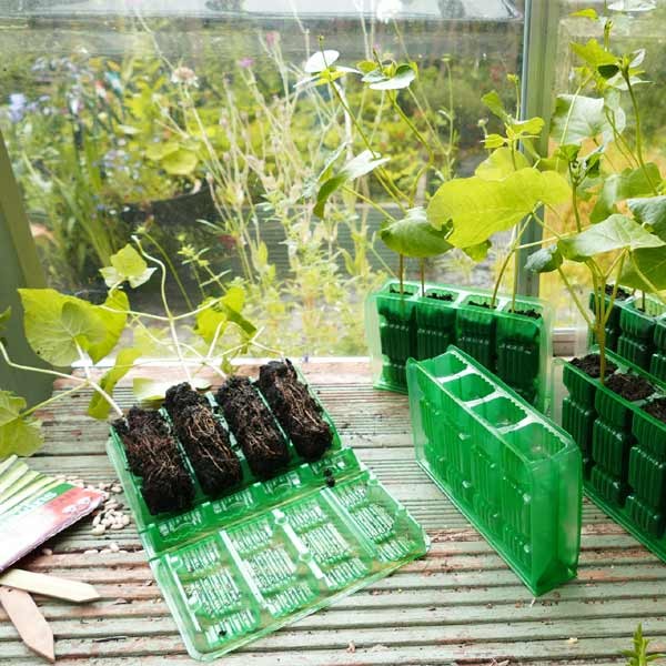 Gro-Sure Visiroot 4 Cell Deep Kit 5 Gro-Sure Visiroot 4 Cell Deep Kit - Image 5