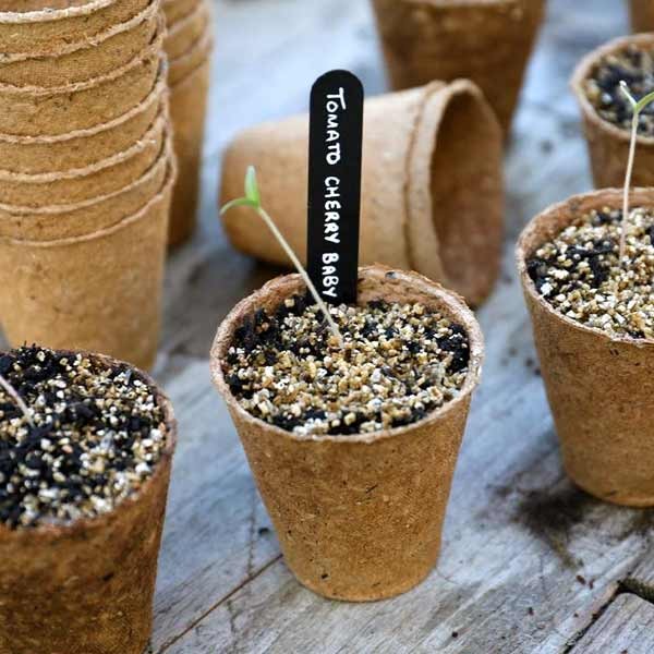 Gro-Sure Fibre Pots Round 6cm 24 Pack 3 Gro-Sure Fibre Pots Round 6cm 24 Pack - Image 3