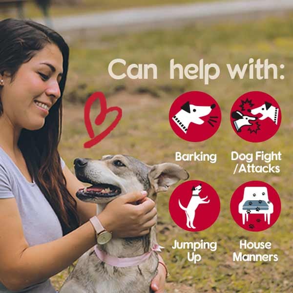 Company Of Animals Pet Corrector 30ml 3 Company Of Animals Pet Corrector 30ml - Image 3