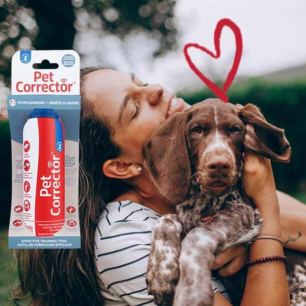 Company Of Animals Pet Corrector 30ml 4 Company Of Animals Pet Corrector 30ml - Image 4