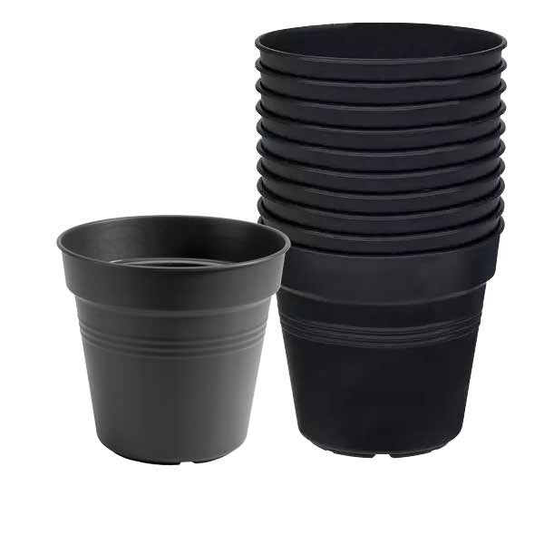 Elho Green Basics Growpot Living Black 8cm 10 Pack 2 Elho Green Basics Growpot Living Black 8cm 10 Pack - Image 2