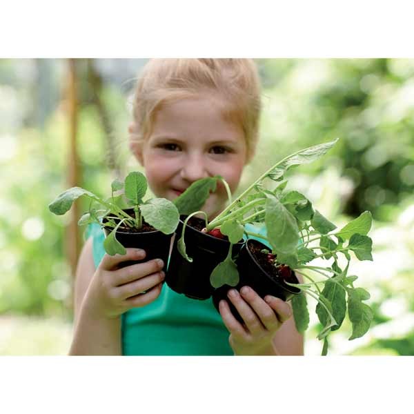 Elho Green Basics Growpot Living Black 8cm 10 Pack 4 Elho Green Basics Growpot Living Black 8cm 10 Pack - Image 4