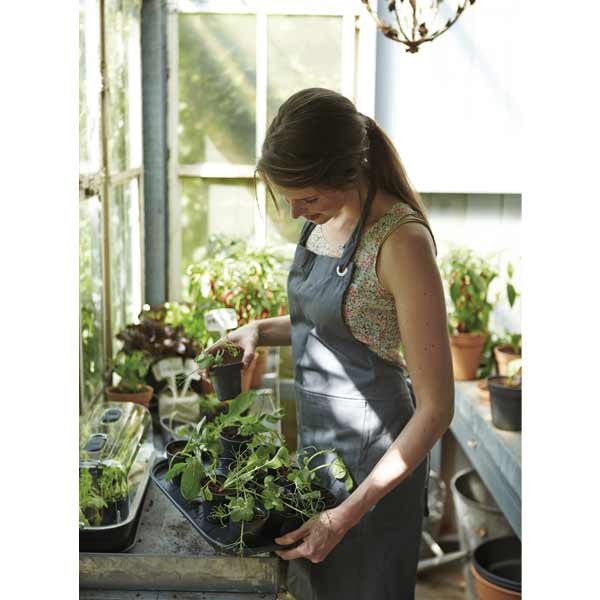 Elho Green Basics Growpot Living Black 8cm 10 Pack 5 Elho Green Basics Growpot Living Black 8cm 10 Pack - Image 5
