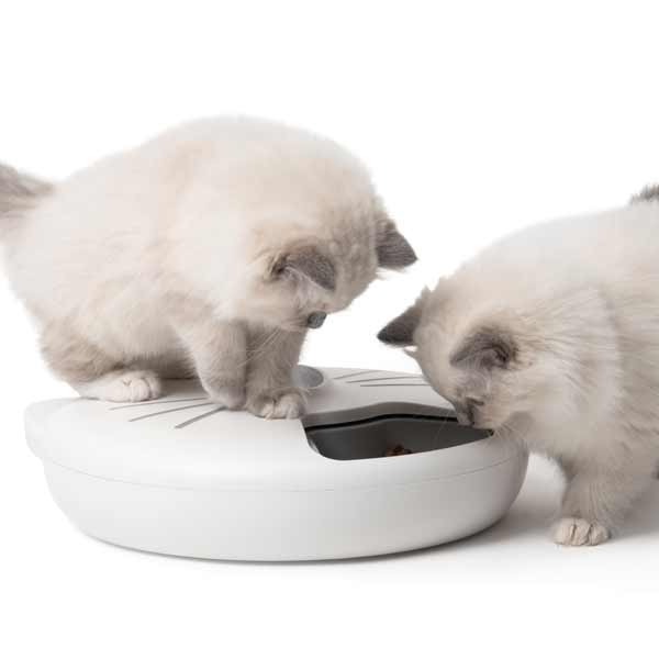 Catit Pixi Smart 6-Meal Feeder 6 Catit Pixi Smart 6-Meal Feeder - Image 6