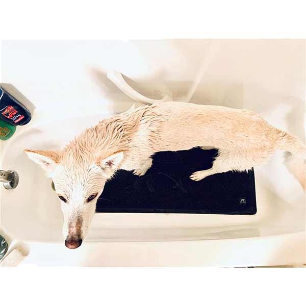 Rosewood Tall Tails Wet Paws Bath Mat 100cmx40cm 7 Rosewood Tall Tails Wet Paws Bath Mat 100cmx40cm - Image 7