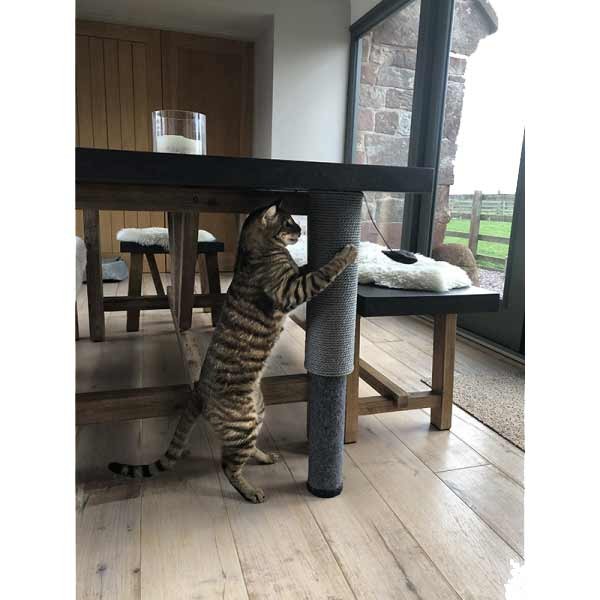 Rosewood Catwalk Collection Adjustable Pole Scratcher 7 Rosewood Catwalk Collection Adjustable Pole Scratcher - Image 7