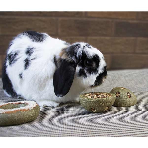 Rosewood Boredom Breaker Treat 'n' Gnaw Bunny Buns 2 pack 3 Rosewood Boredom Breaker Treat 'n' Gnaw Bunny Buns 2 pack - Image 3