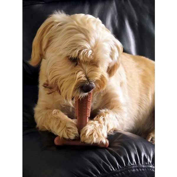 Bamboodles Dog T-Bone Bamboo+Nylon Chew Chicken Medium (6") 3 Bamboodles Dog T-Bone Bamboo+Nylon Chew Chicken Medium (6") - Image 3