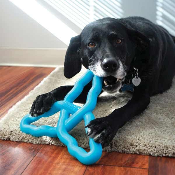 KONG Flyangle Large Dog Toy 2 KONG Flyangle Large Dog Toy - Image 2