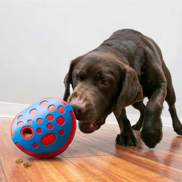 KONG Rewards Wally Medium/Large Dog Toy 2 KONG Rewards Wally Medium/Large Dog Toy - Image 2