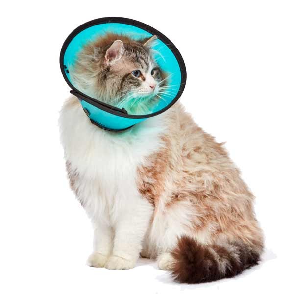 Smart Collar Size 0 / xS for Recovery & Protection 3 Smart Collar Size 0 / xS for Recovery & Protection - Image 3