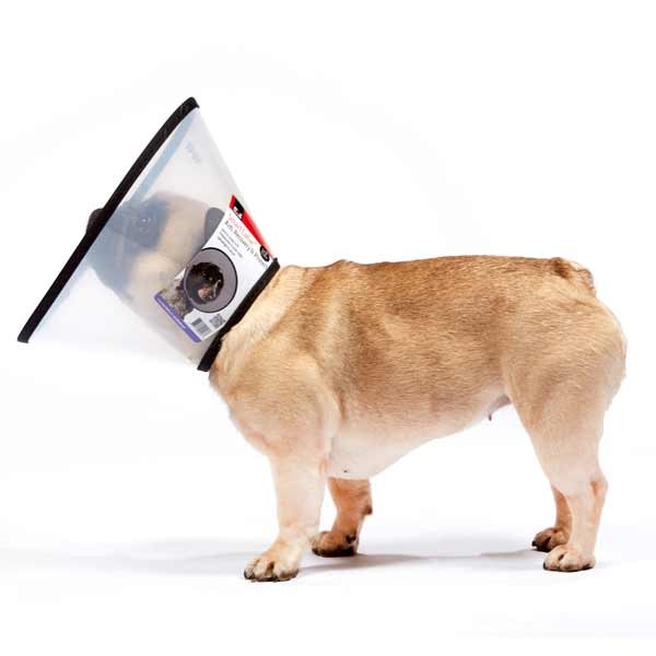 Smart Collar Size 2 / Medium for Recovery & Protection 3 Smart Collar Size 2 / Medium for Recovery & Protection - Image 3