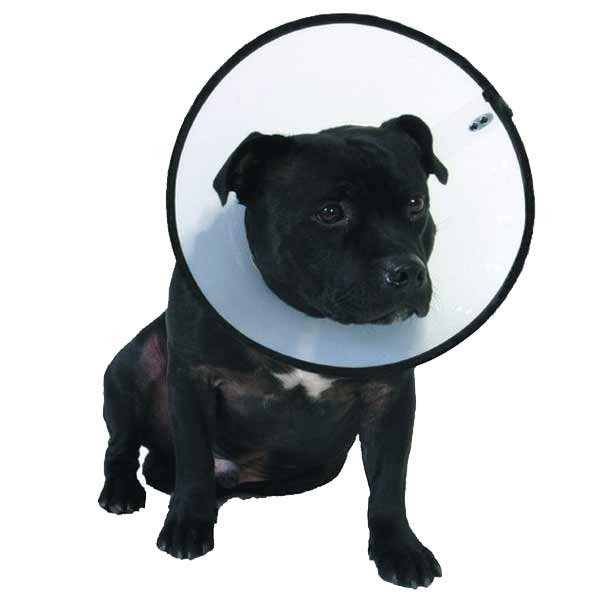 Smart Collar Size 4 / xL for Recovery & Protection 3 Smart Collar Size 4 / xL for Recovery & Protection - Image 3