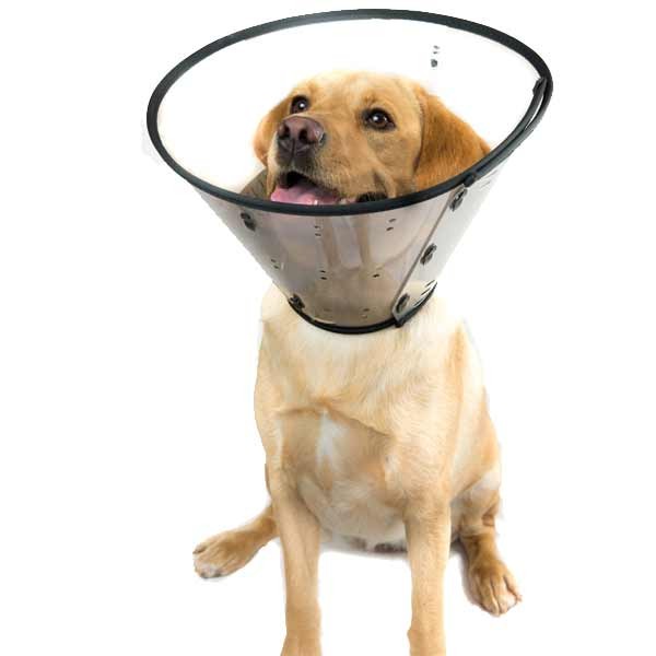 Smart Collar Size 5 / Giant for Recovery & Protection 3 Smart Collar Size 5 / Giant for Recovery & Protection - Image 3