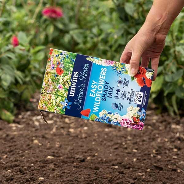 Natures Haven Easy Wildflowers Shady Mix 1.2kg 5 Natures Haven Easy Wildflowers Shady Mix 1.2kg - Image 5