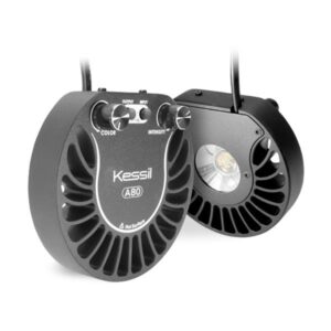 Kessil