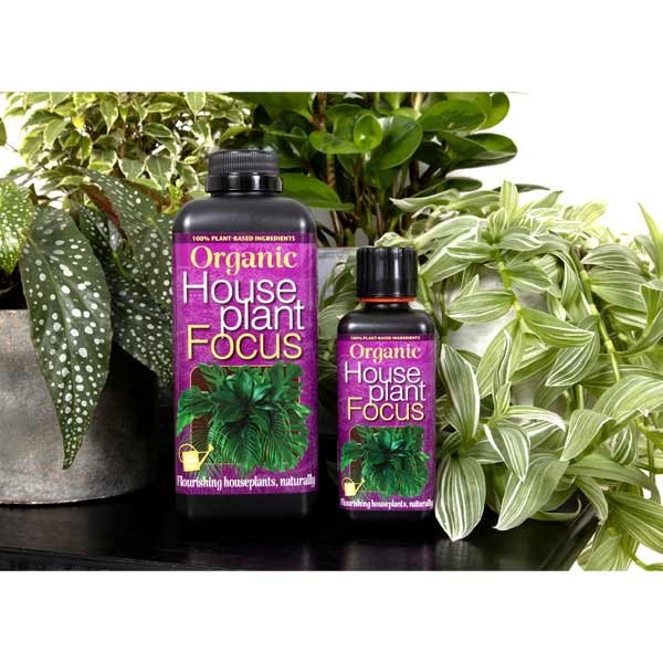 Growth Technology Organic Houseplant Focus 300ml 3 Growth Technology Organic Houseplant Focus 300ml - Image 3