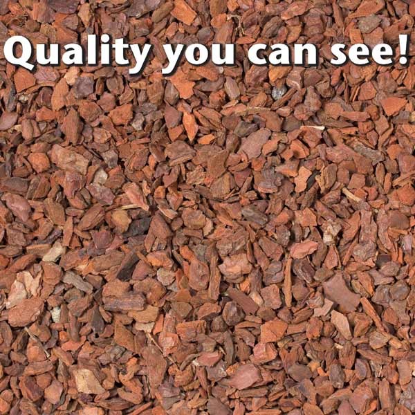 Growth Technology Orchid Focus Repotting Mix Peat Free 8 Litres 3 Growth Technology Orchid Focus Repotting Mix Peat Free 8 Litres - Image 3