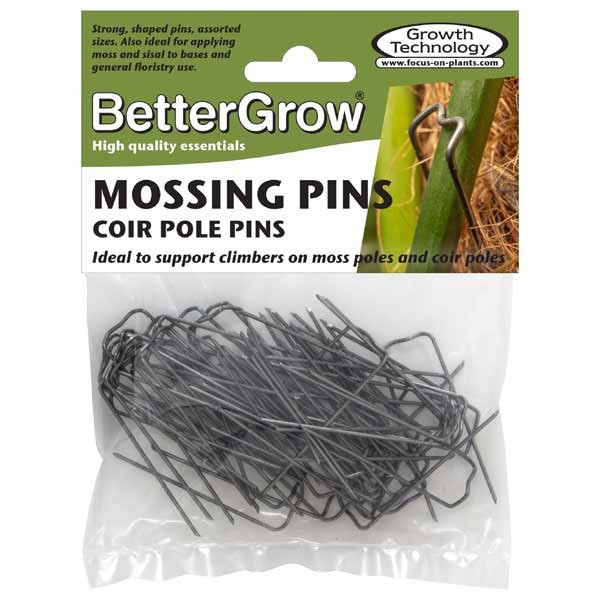 Growth Technology BetterGrow Mossing Pins 50 Pack 1 Growth Technology BetterGrow Mossing Pins 50 Pack