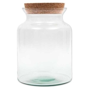 Growth Technology Terrarium Bose
