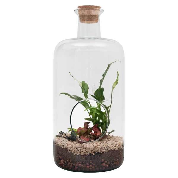 Growth Technology Terrarium Bovey Large 2 Growth Technology Terrarium Bovey Large - Image 2