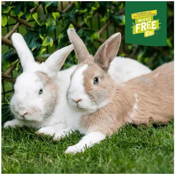 Burgess Excel Rabbit Mint Nuggets 1.5kg + 20% Extra Free 4 Burgess Excel Rabbit Mint Nuggets 1.5kg + 20% Extra Free - Image 4