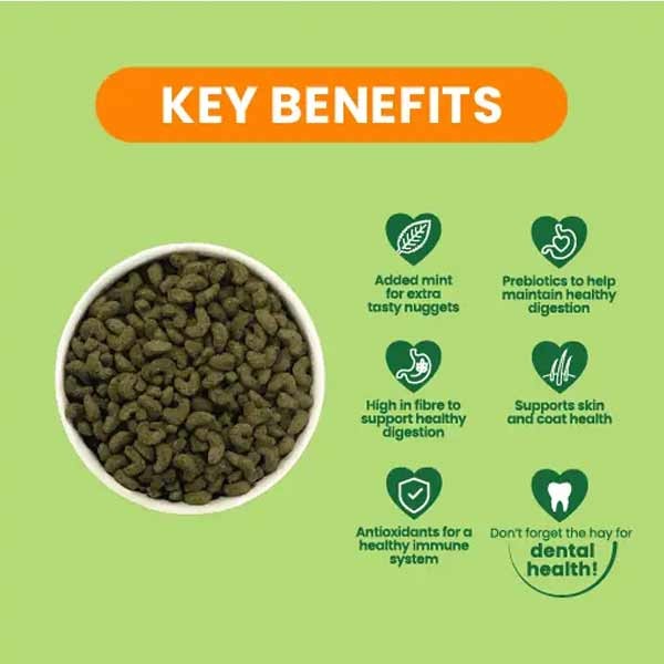 Burgess Excel Guinea Pig Nuggets Mint 3kg 2 Burgess Excel Guinea Pig Nuggets Mint 3kg - Image 2