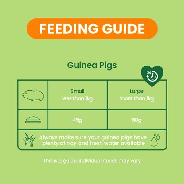 Burgess Excel Guinea Pig Nuggets Mint 3kg 3 Burgess Excel Guinea Pig Nuggets Mint 3kg - Image 3