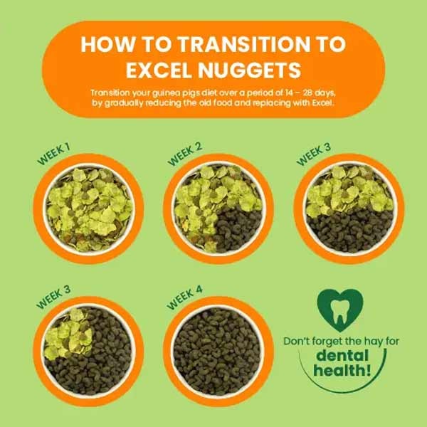 Burgess Excel Guinea Pig Nuggets Mint 3kg 4 Burgess Excel Guinea Pig Nuggets Mint 3kg - Image 4