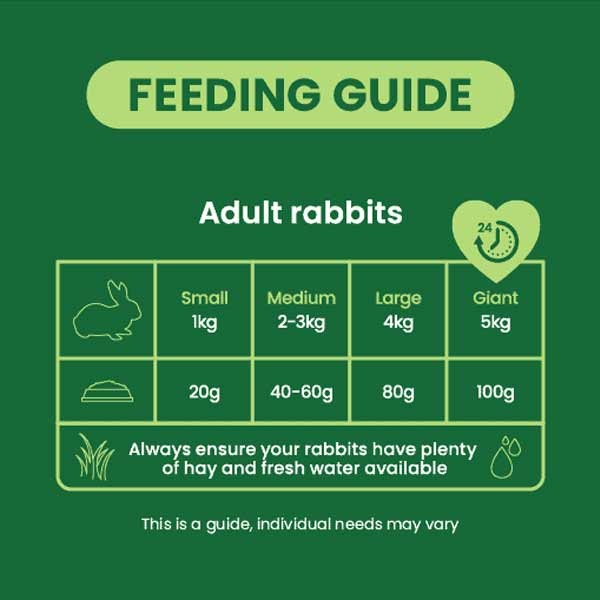 Burgess Excel Rabbit Mint Nuggets 3kg 3 Burgess Excel Rabbit Mint Nuggets 3kg - Image 3