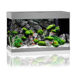 Juwel Rio Grey 125 LED Aquarium