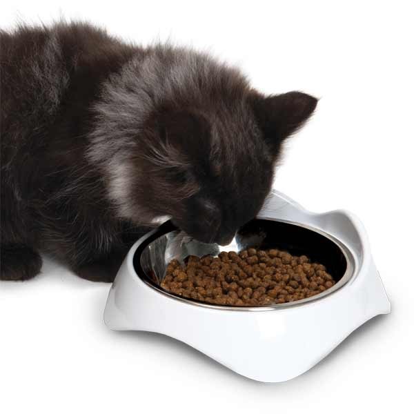 Catit Pixi Single Feeding Dish White 3 Catit Pixi Single Feeding Dish White - Image 3