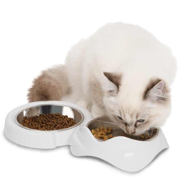 Catit Pixi Double Feeding Dish White 3 Catit Pixi Double Feeding Dish White - Image 3